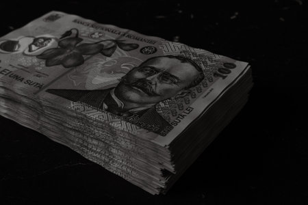 Stack of LEI Romanian money. RON Leu Money European Currencyの写真素材