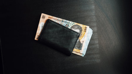 Romanian LEI Currency Banknote. RON Money European Currencyの写真素材