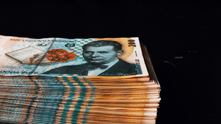 Romanian LEI Currency Banknote. RON Money European Currencyの写真素材