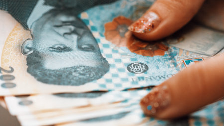 Romanian LEI Currency Banknote. RON Money European Currencyの写真素材