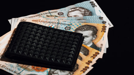 Romanian LEI Currency Banknote. RON Money European Currencyの写真素材