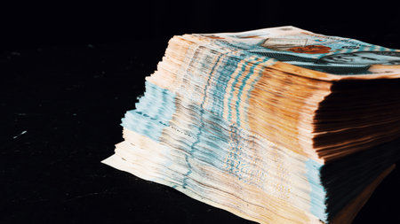Romanian LEI Currency Banknote. RON Money European Currencyの写真素材