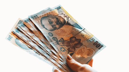 Romanian LEI Currency Banknote. RON Money European Currencyの写真素材