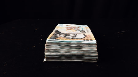 Romanian LEI Currency Banknote. RON Money European Currencyの写真素材