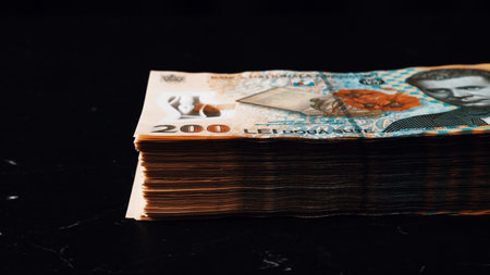 Romanian LEI Currency Banknote. RON Money European Currencyの写真素材
