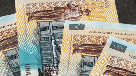 Romanian LEI Currency Banknote. RON Money European Currencyの写真素材