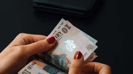 Romanian LEI Currency Banknote. RON Money European Currencyの写真素材
