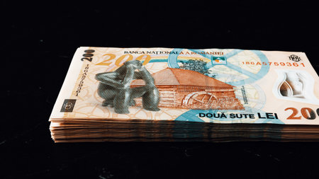 Romanian LEI Currency Banknote. RON Money European Currencyの写真素材