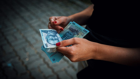 Romanian LEI Currency Banknote. RON Money European Currency