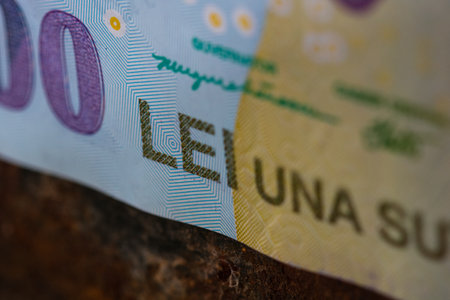 RON Leu Money European Currencyの写真素材
