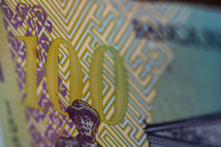 RON Leu Money European Currency