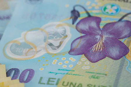 RON Leu Money European Currencyの写真素材