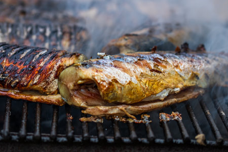 Grilled fish on charcoal grill. Fresh fish barbecueの写真素材