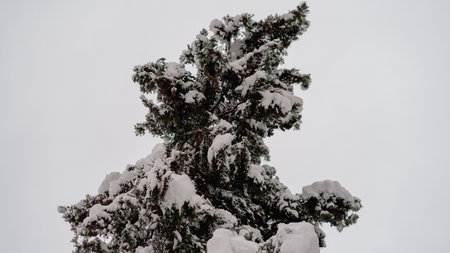 First day of winter, heavy snow in Bucharest city, Romaniaの写真素材
