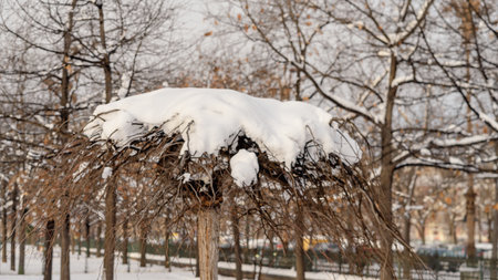 First day of winter, heavy snow in Bucharest city, Romaniaの写真素材