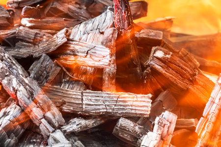 Burning wood chips forming coal. Barbecue preparation, fire before cooking. Hot coal made of greatly heated wood.の写真素材