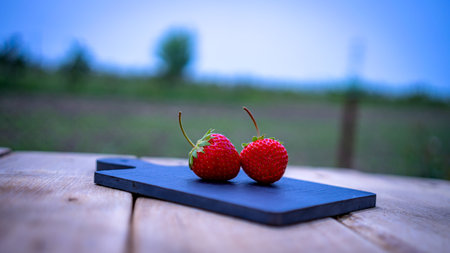 Close up of two strawberries on small black cutting board isolated outdoor on wooden table.の写真素材