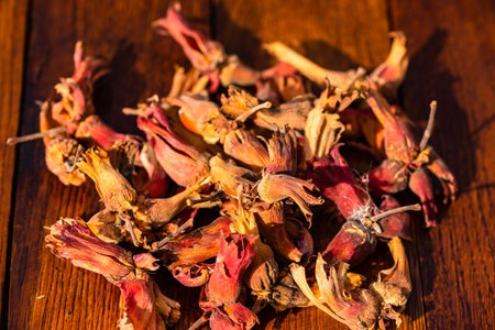 Red hazelnuts on a wooden board. Isolated hazelnuts.の写真素材