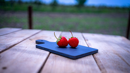 Close up of two strawberries on small black cutting board isolated outdoor on wooden table.の写真素材