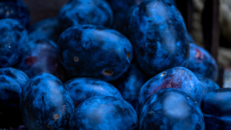 Ripe blue plums in a wooden crate in a rustic composition.の写真素材