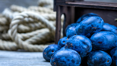Ripe blue plums in a wooden crate in a rustic composition.の写真素材