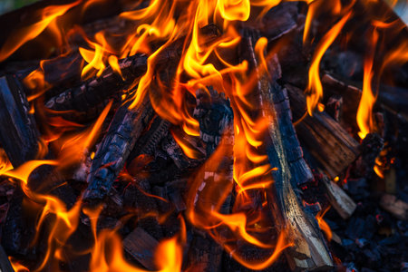 Burning wood chips to form coal. Barbecue preparation, fire before cooking.の写真素材