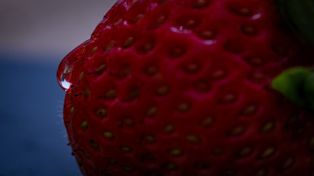 Close up of fresh strawberry showing seeds achenes. Water drop on fresh ripe red strawberry.の写真素材
