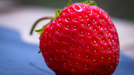 Close up of fresh strawberry showing seeds achenes. Details of a fresh ripe red strawberry.の写真素材