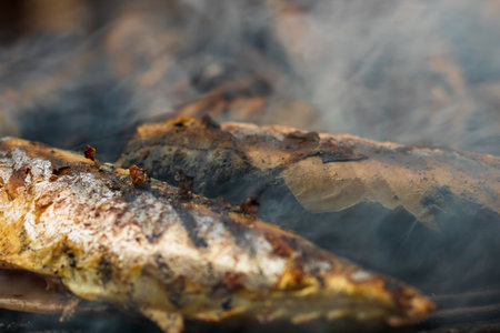Grilled fish on charcoal grill. Fresh fish barbecueの写真素材