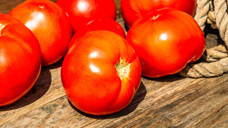 Close up of fresh ripe tomatoes isolated in a rustic composition,の写真素材