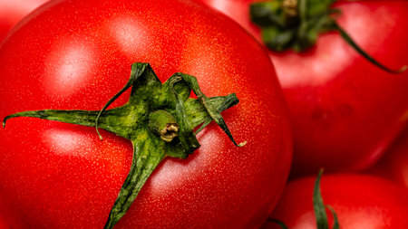 Close up of ripe red tomato, tomatoes background.の写真素材