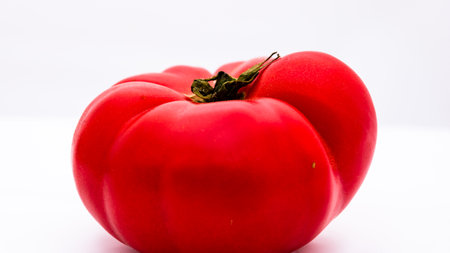 Fresh and tasty ripe red tomatoes isolatedの写真素材