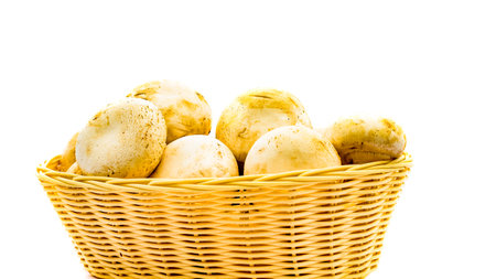 Fresh champignons, champignon mushrooms in wicker basket isolatedの写真素材