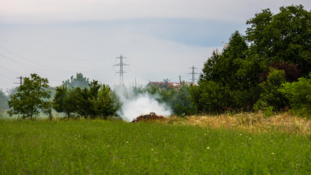Fire and smoke in the agricultural field.の写真素材