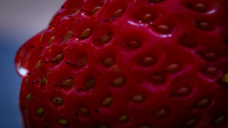 Close up of fresh strawberry showing seeds achenes. Water drop on fresh ripe red strawberry.の写真素材