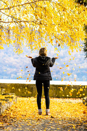 Autumn leaves fallen on alone woman walking on the autumn alleyの写真素材