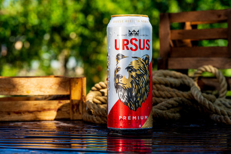 Ursus beer can - condensation water droplets, outdoors backgroundのeditorial素材