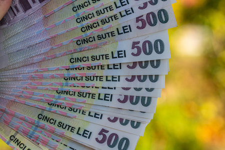Romanian LEI Currency Banknote. RON Money Currency
