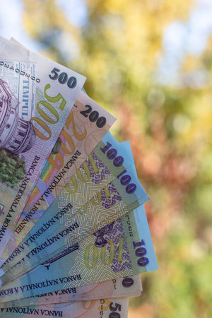 Romanian LEI Currency Banknote. RON Money Currencyの写真素材