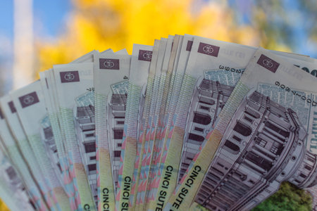 Romanian LEI Currency Banknote. RON Money Currencyの写真素材