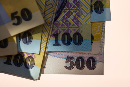 Romanian LEI Currency Banknote. RON Money Currencyの写真素材