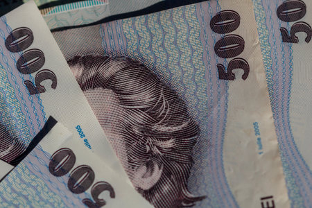 Romanian LEI Currency Banknote. RON Money Currencyの写真素材