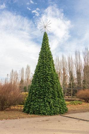Green Christmas decorated tree in a park. Winter seasonの写真素材