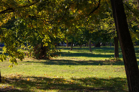 Green landscape near the lake in Cismigiu Garden (Gradina Cismigiu), a public park in the city center of Bucharestの写真素材