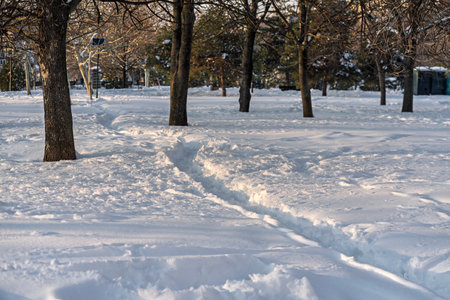Scenic winter scene in the beautiful public park of Izvor in a  snowy winter morning. Izvor Park from downtown Bucharest, Romaniaの写真素材