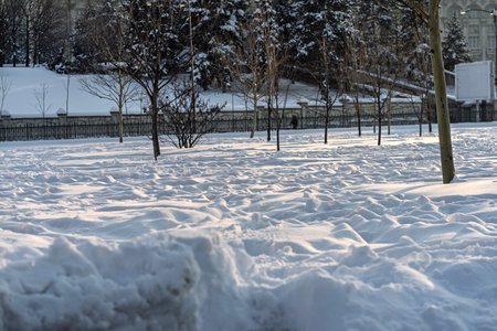 Scenic winter scene in the beautiful public park of Izvor in a  snowy winter morning. Izvor Park from downtown Bucharest, Romaniaの写真素材