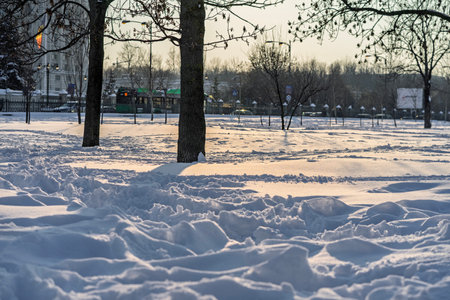 Scenic winter scene in the beautiful public park of Izvor in a  snowy winter morning. Izvor Park from downtown Bucharest, Romaniaの写真素材