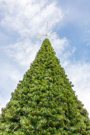 Green Christmas decorated tree in a park. Winter seasonの写真素材