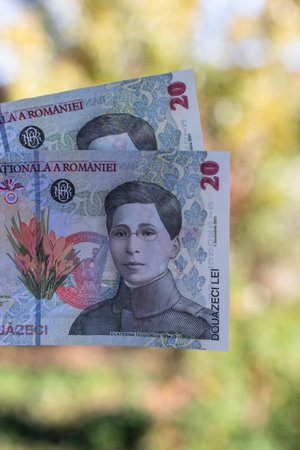 Romanian LEI Currency Banknote. RON Money Currencyの写真素材