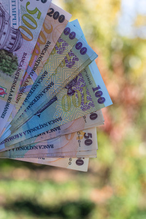 Romanian LEI Currency Banknote. RON Money Currencyの写真素材